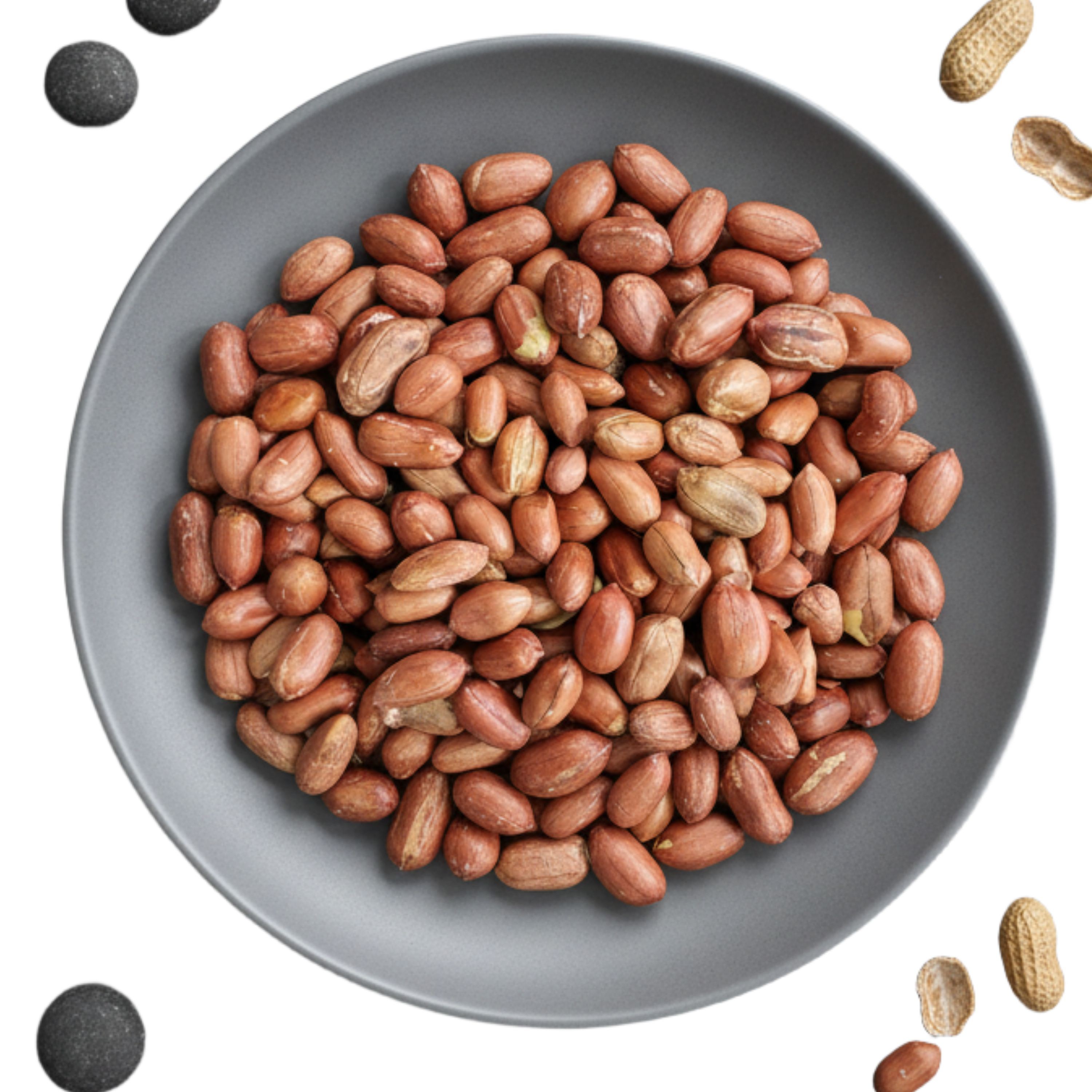 25년 수확 왕큰알 볶은땅콩 14,310원