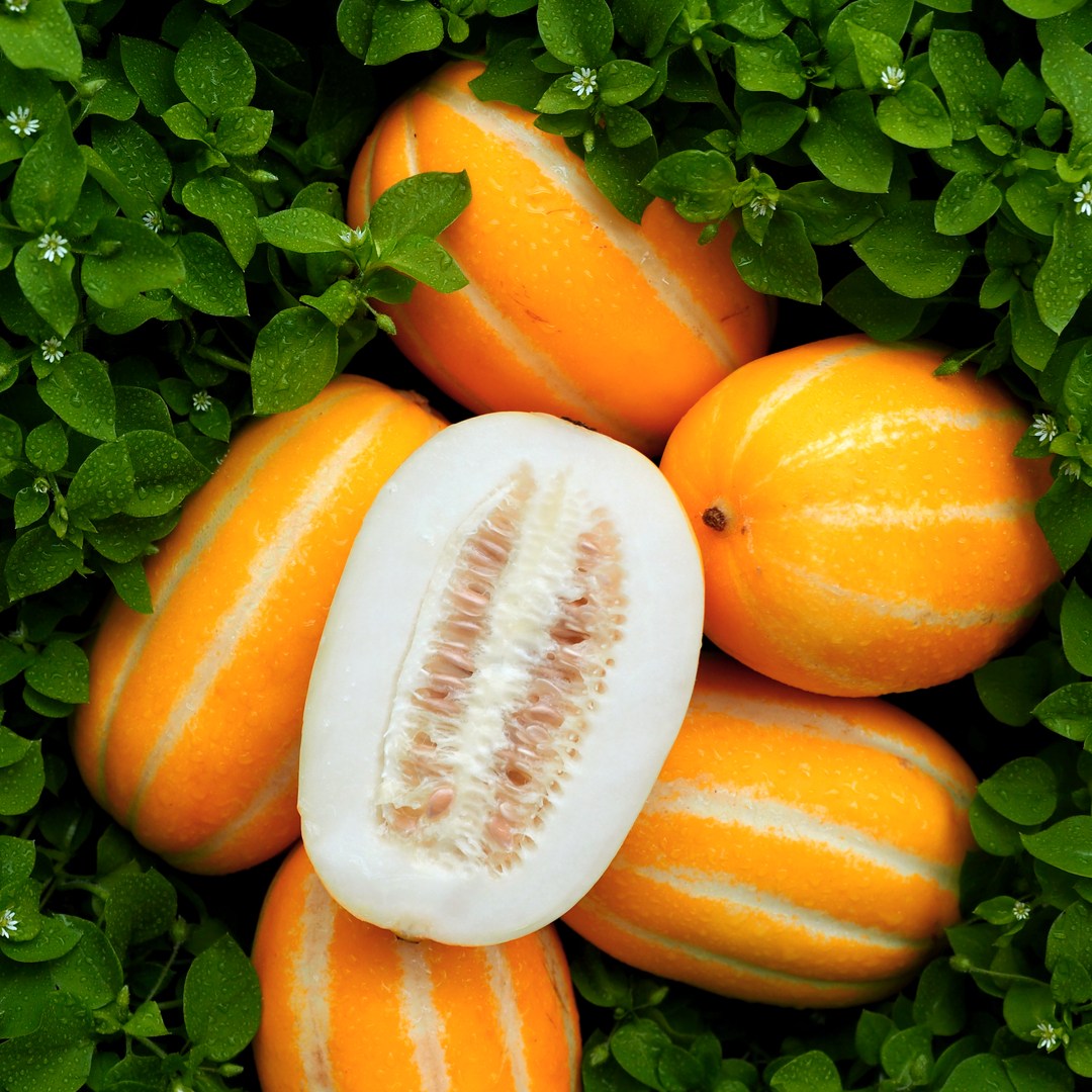 [당도선별]산지직송 성주 꿀참외 고당도 가정용 로얄과 못난이 랜덤과 20,870원