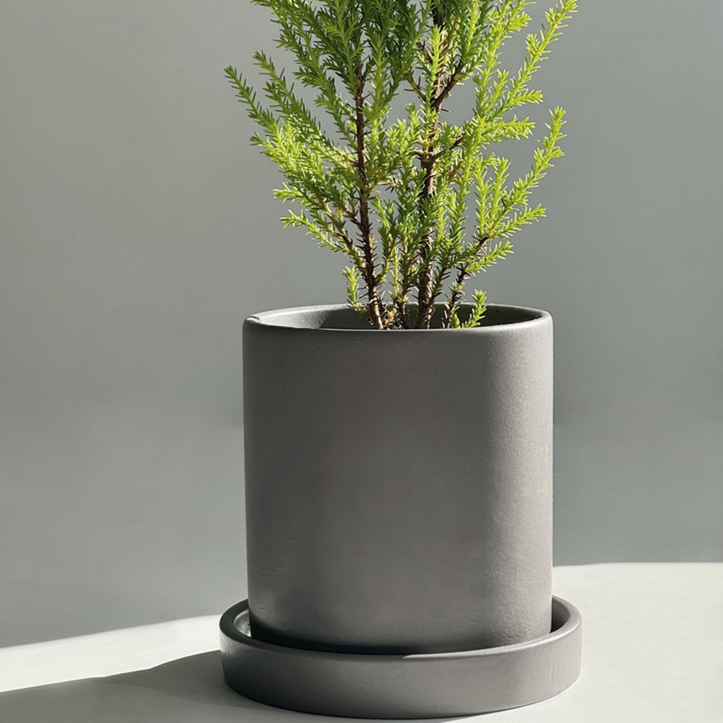 앙비까사 심플 무광 화분 + 받침대 세트 3,370원