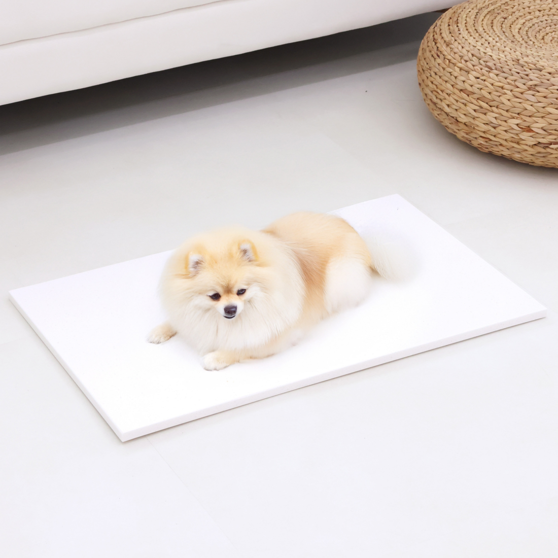 멍냥들 프리미엄 쿨링 마블 대리석 강아지 쿨매트, 모던 화이트, 1개 20,500원