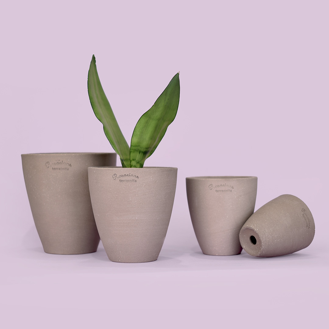 마이플랜트 로자리안 베리팟 전색상 (받침 세트) 12,000원