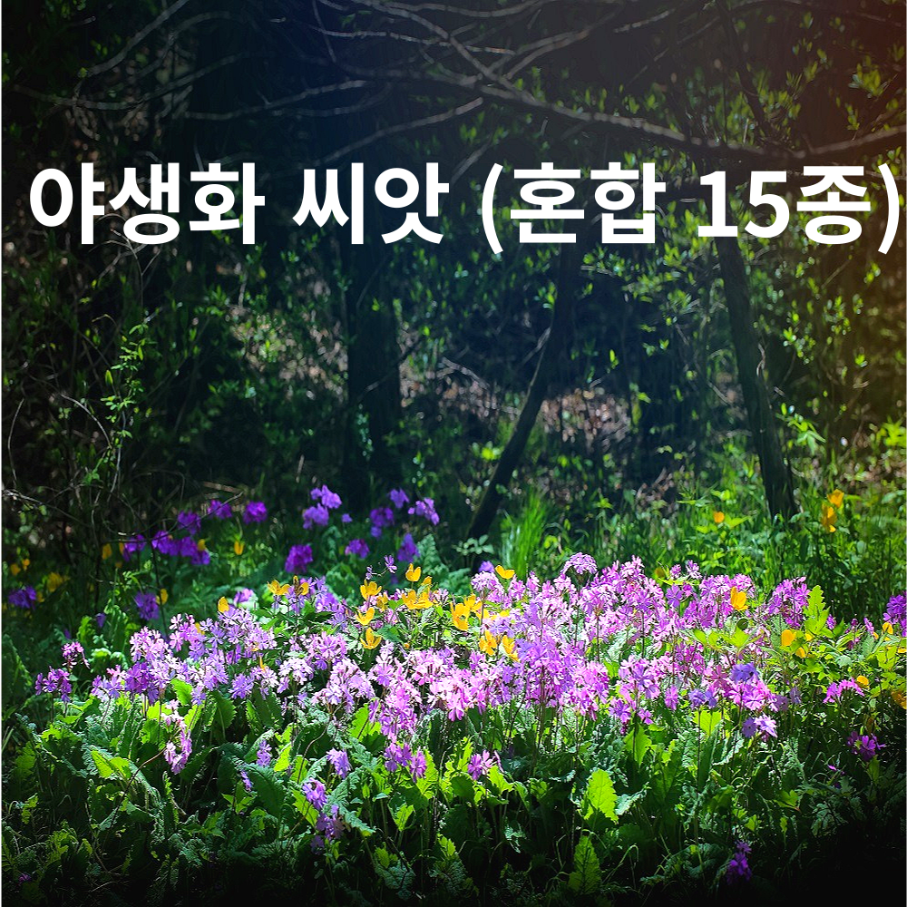 야생화 씨앗 혼합종자15종모음 1kg 봄부터 가을까지 매년 아름다운 경관 연출 60,700원