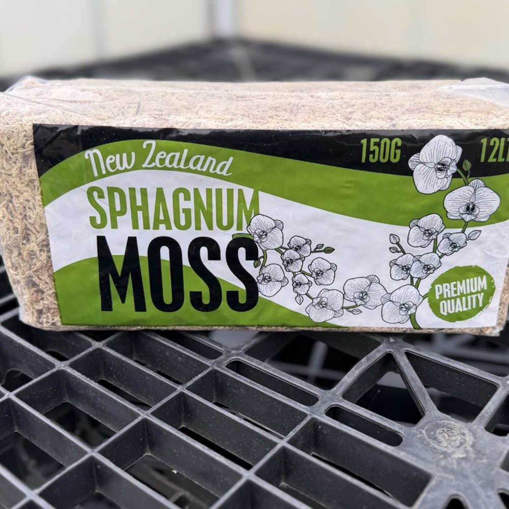 뉴질랜드 천연 수태 150g 호접란 테라리움 풍란 토피어리 삽목 난 동양란, 1개 9,500원