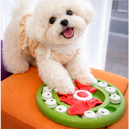 앤의선물 집중놀이 퍼즐 노즈워크 장난감, 1개, 그린 18,700원