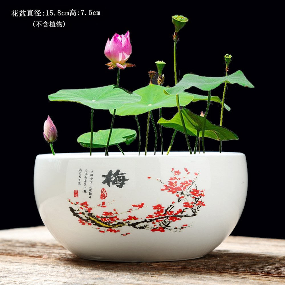 관상용 수반연꽃 미니연꽃키우기 수생식물 물확 도예 물고기연못 연꽃키우기 장식 돌물확 분수 18,400원