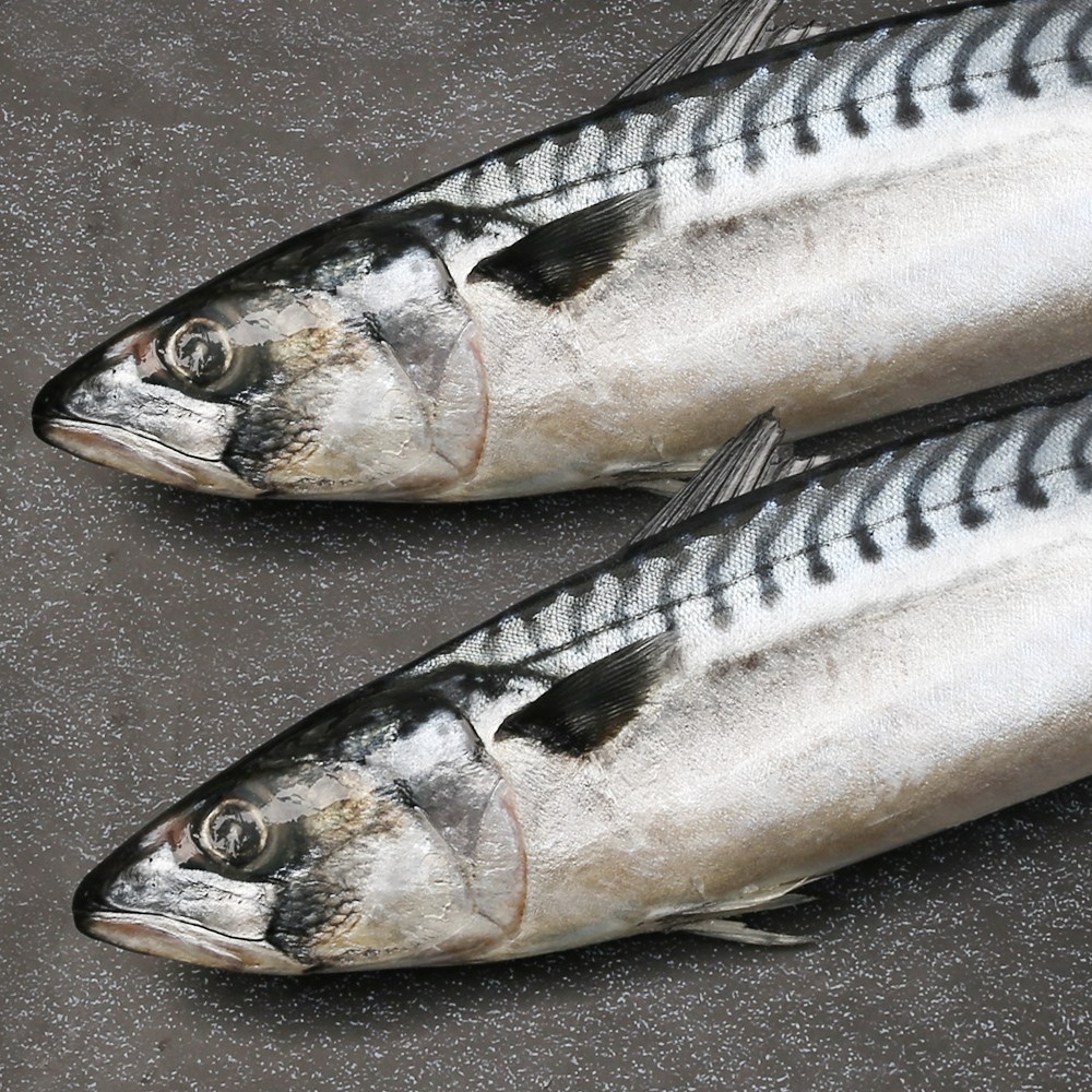 자갈치닷컴 노르웨이 냉동 원물 고등어 35cm전후, 1박스, 35cm전후(20~21마리내외) 127,000원