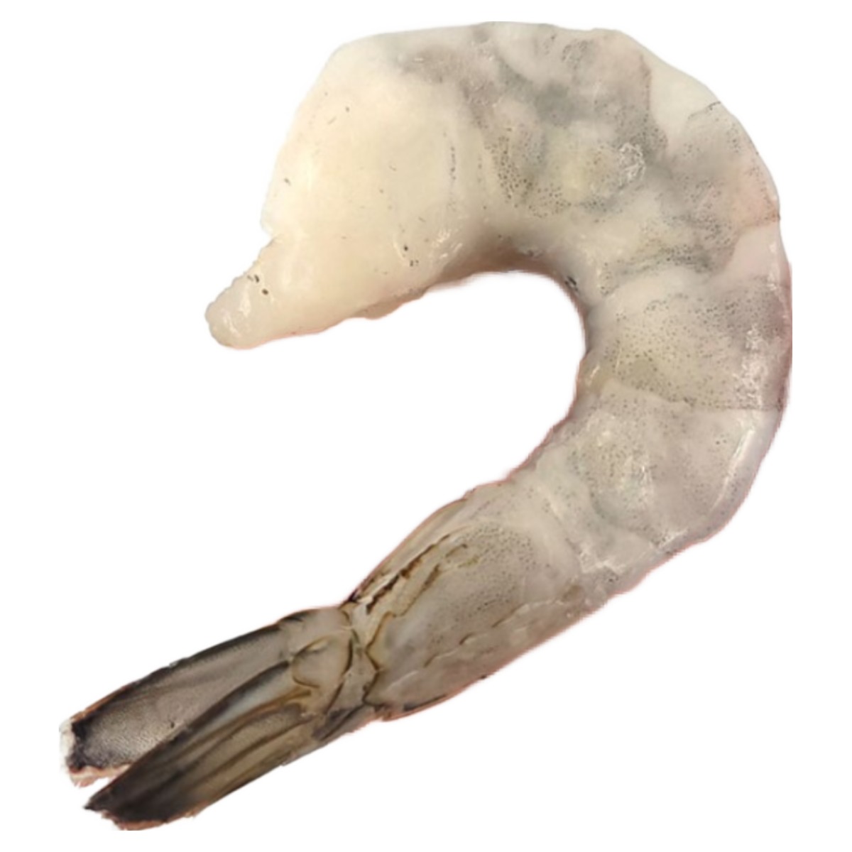 씨기프트 칵테일새우 특품 특대 사이즈 45-48미 생 새우살, 냉동 깐새우, 감바스용, 1개 22,890원