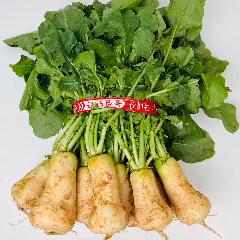 농부곳간 갓 수확한 초롱무 총각무 알타리무, 1개, 알타리무 4단 10kg 37,900원