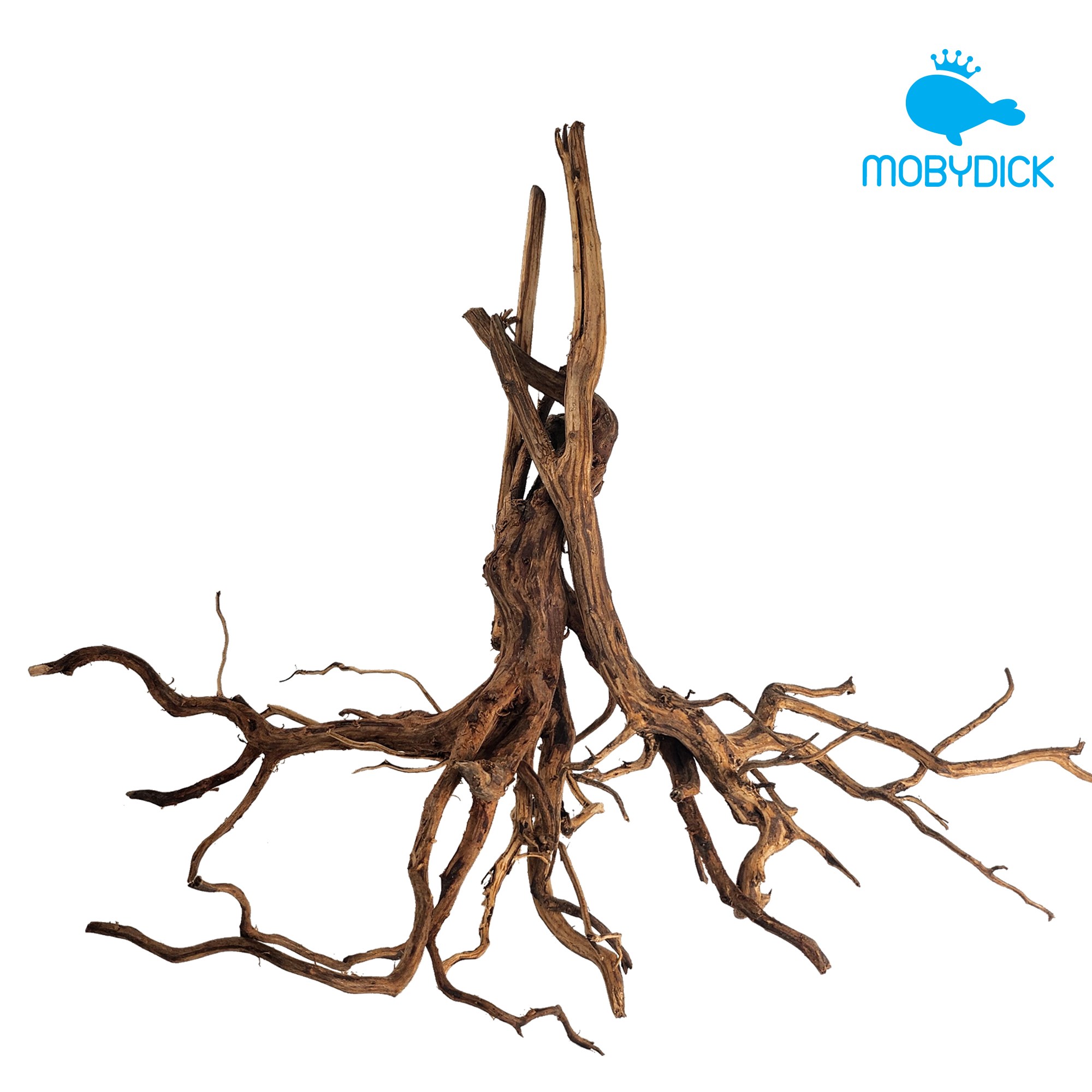 모비딕 키시레움 고급유목 3종세트 16,500원