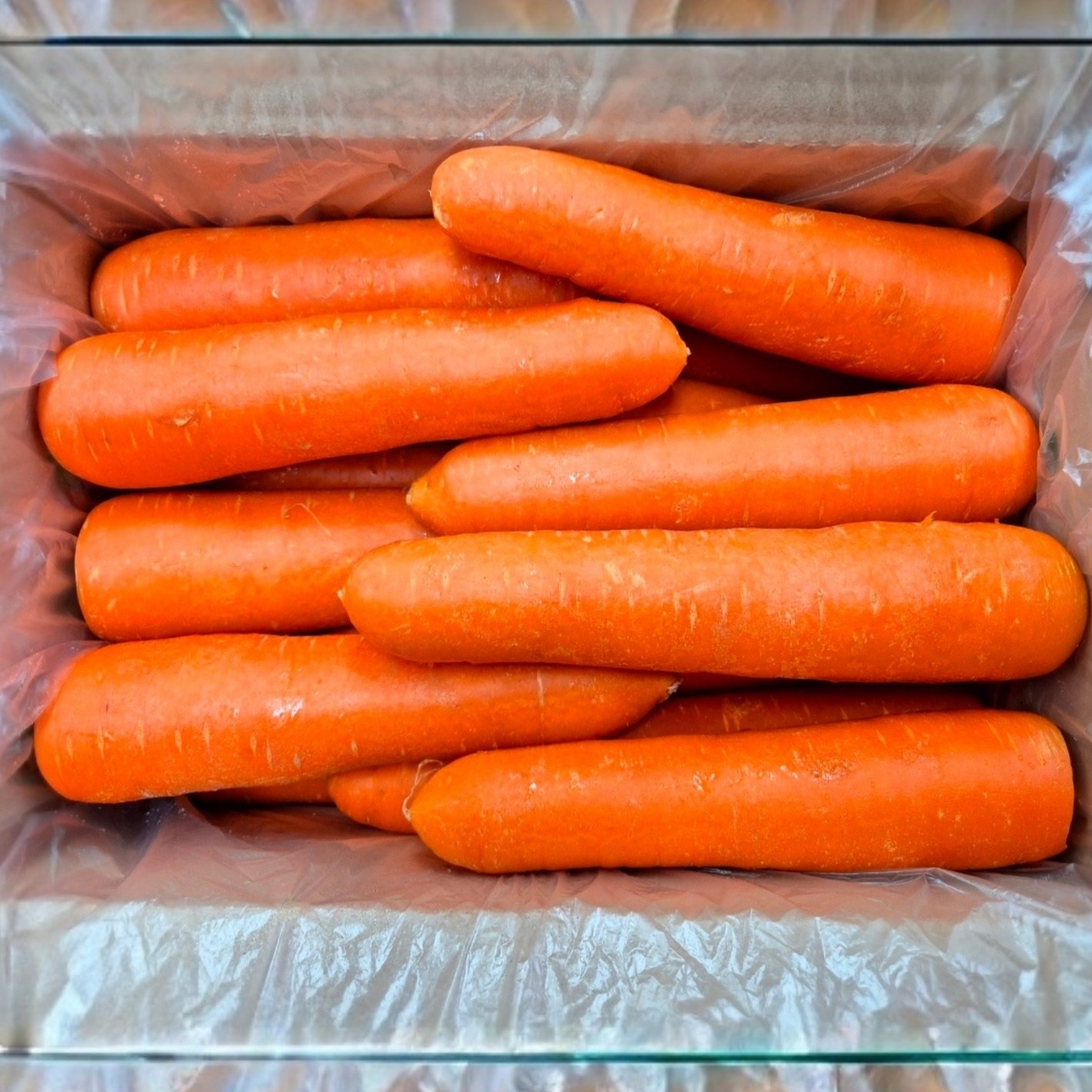 신선한 세척당근 특품 15,900원