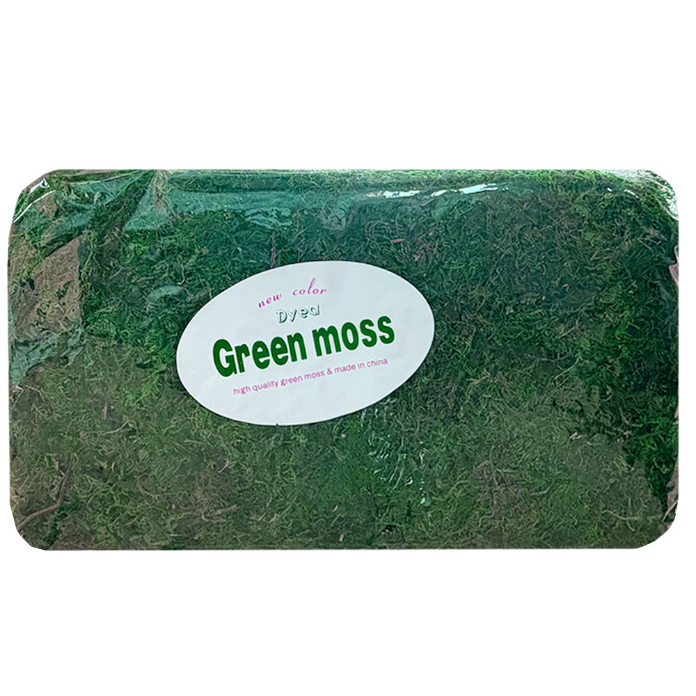 청이끼 600g 화분 식재용 장식용 인테리어 소품, 1개 10,280원