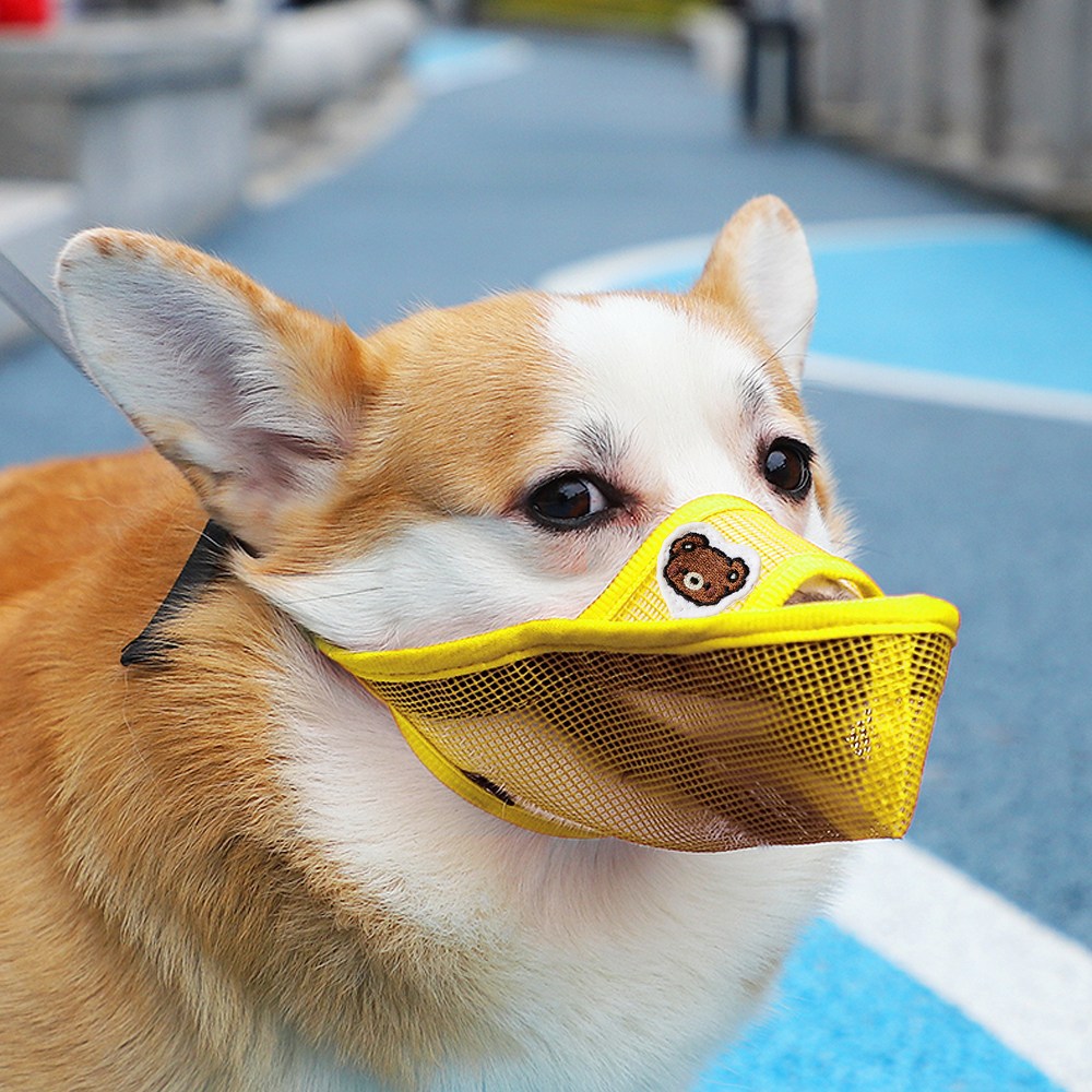 (당일발송) 이지유 애견 원버튼 메쉬 입마개 XL 중형견 대형견, 1개, 곰 옐로우 5,900원