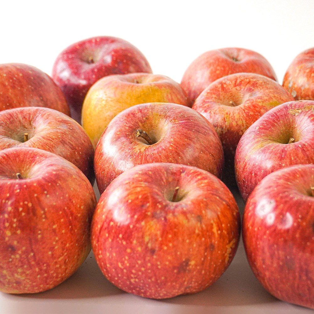 [미식한가] 못난이 맛있는 미색 부사 사과 2kg~5kg / 가정용 / 실속용 / 주스용 / 2025년 수확 사과 8,900원