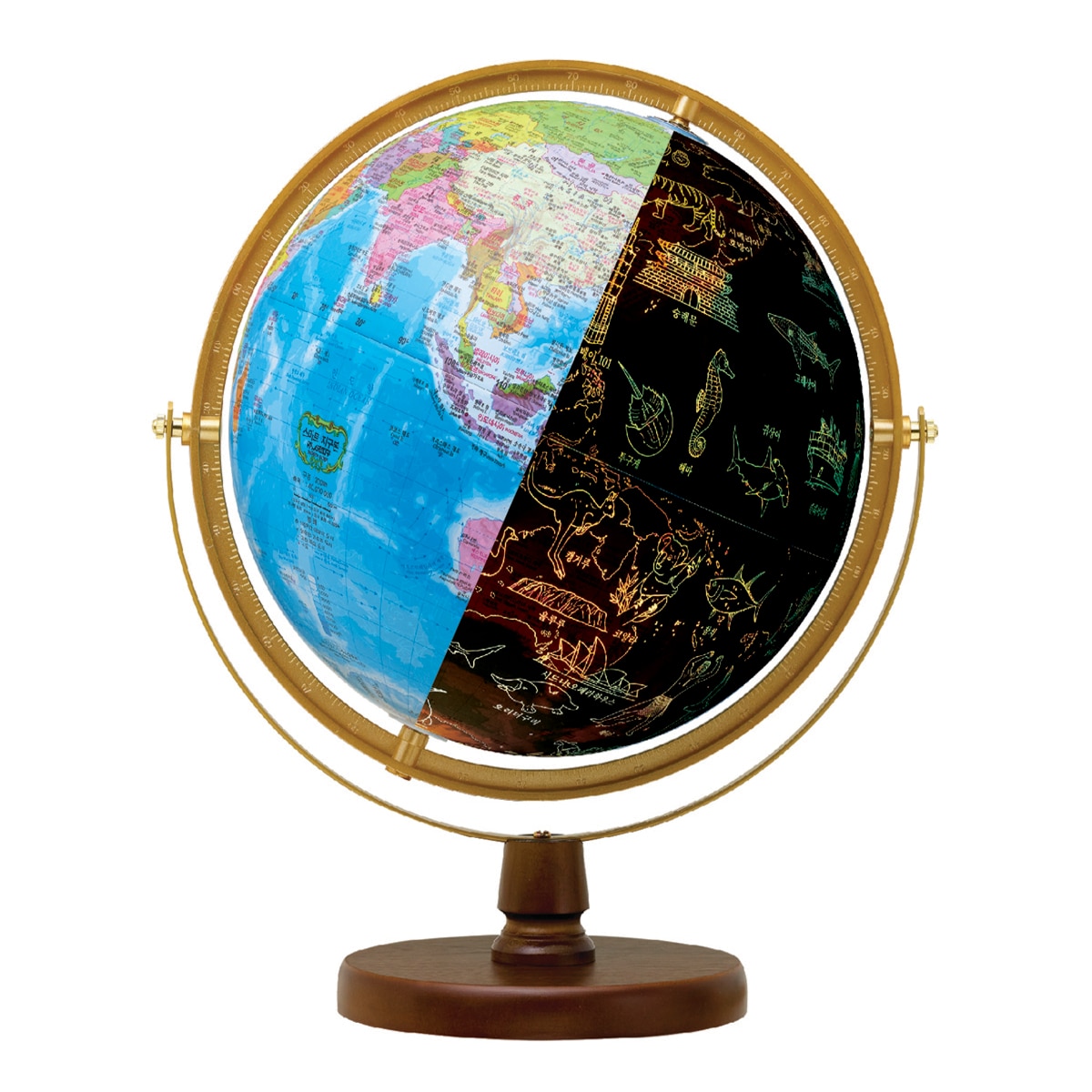 서전 스마트 지구본 별자리 / 트래블, 320-CT(트래블) 73,000원