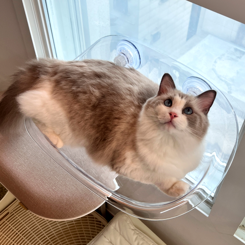 MAAH 고양이 창문 해먹, 화이트, 1개 22,500원