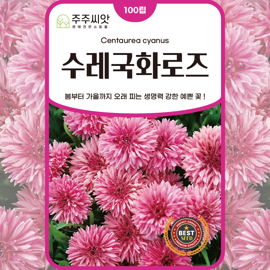 [주주씨앗] 수레국화 로즈 씨앗 100립 봄 가을 파종 오래피는 꽃씨 일년생 야생화 종자 씨, 1개 3,000원