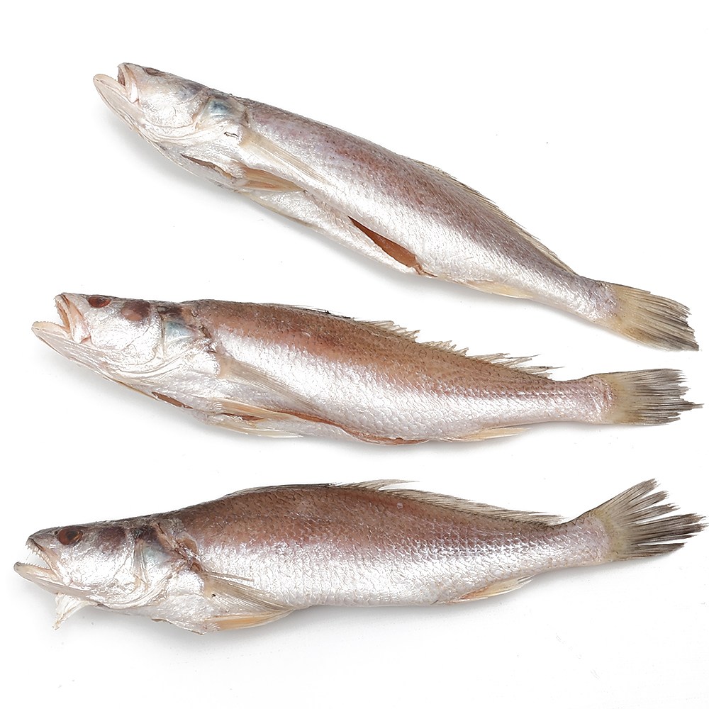 자갈치닷컴 반건조 민어조기(뾰조기) P 38~40cm전후 3마리 조기, 38~40cm전후, 3개 55,000원