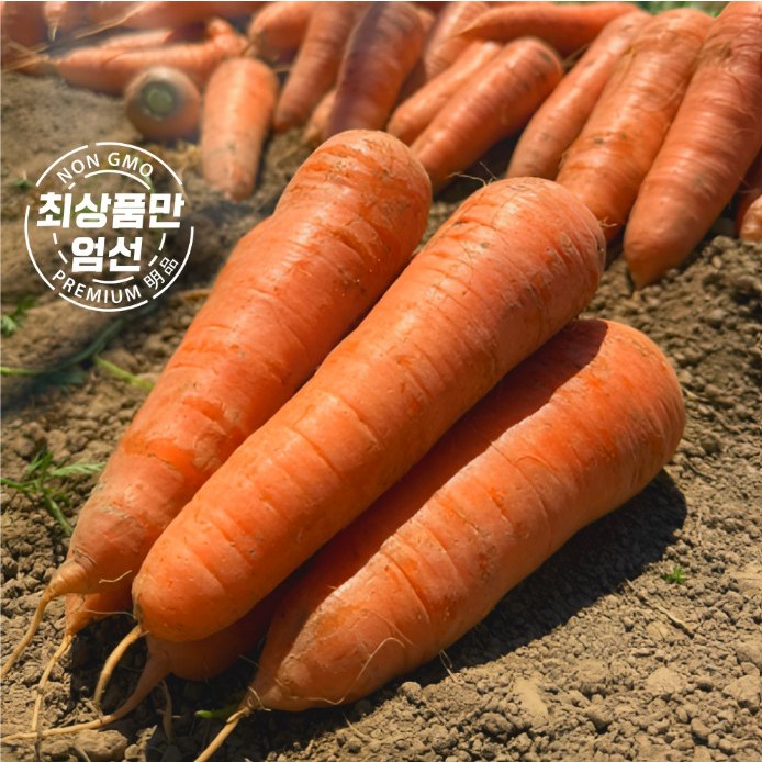 솔이네 싱싱 제주 햇 구좌 흙당근, 1박스, 10kg 특 36,500원