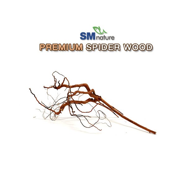 SM 프리미엄 스파이더 유목 [소], 1개, 현재가 4,500원