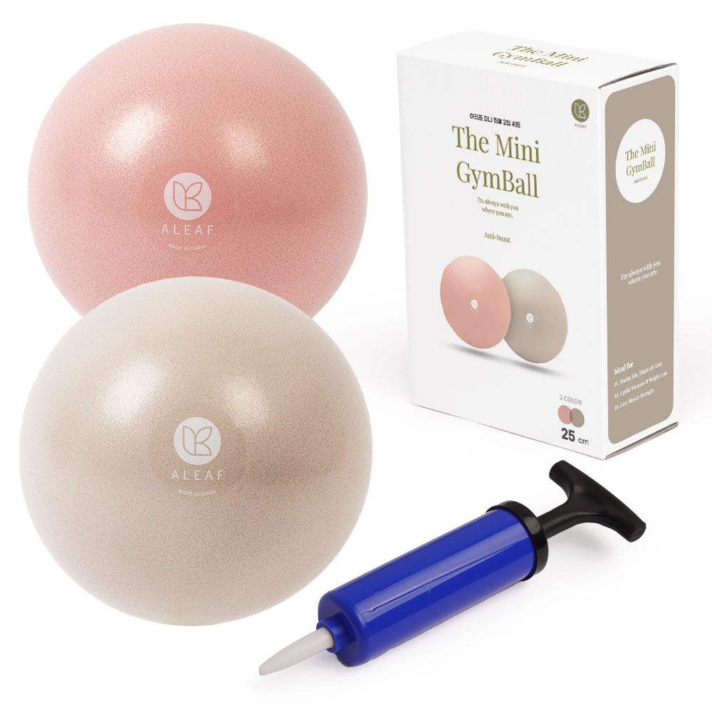 아리프 안티 버스트 미니 짐볼 2종 세트 8,900원