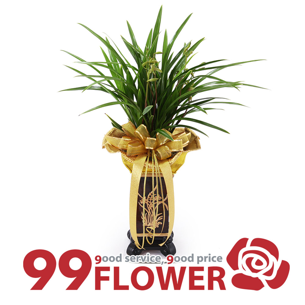 (주)99플라워 동양란 옥화[ST-E312]전국당일꽃배달 97,000원