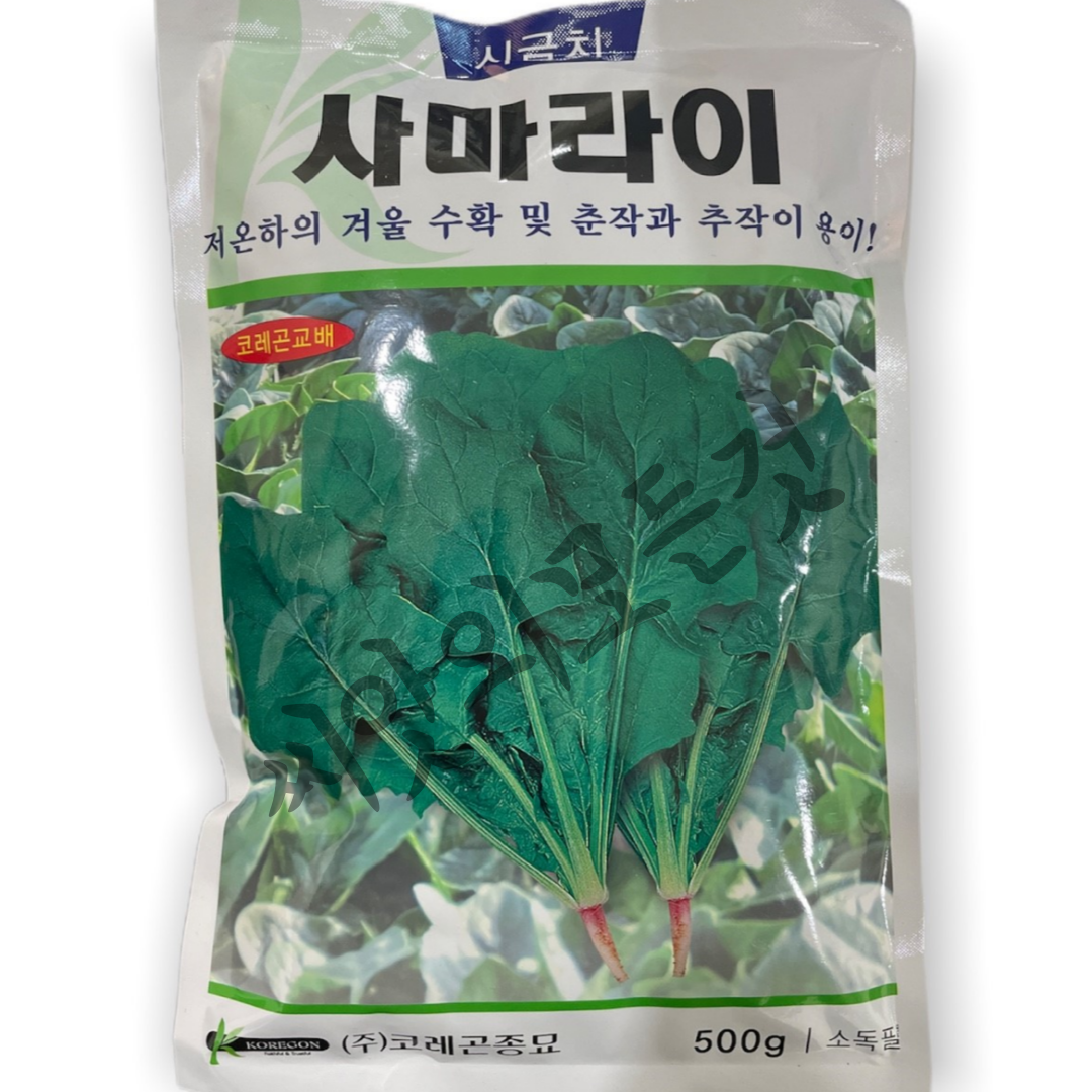 사마라이시금치씨앗500g 뿌리가빨간일본산시금치 대용량사계절용시금치 코레곤, 1개 29,700원