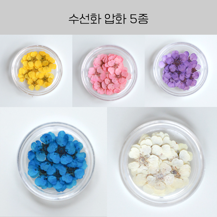 UV 레진 공예 재료 수선화 압화 드라이 플라워 레진아트재료, 1개 3,930원