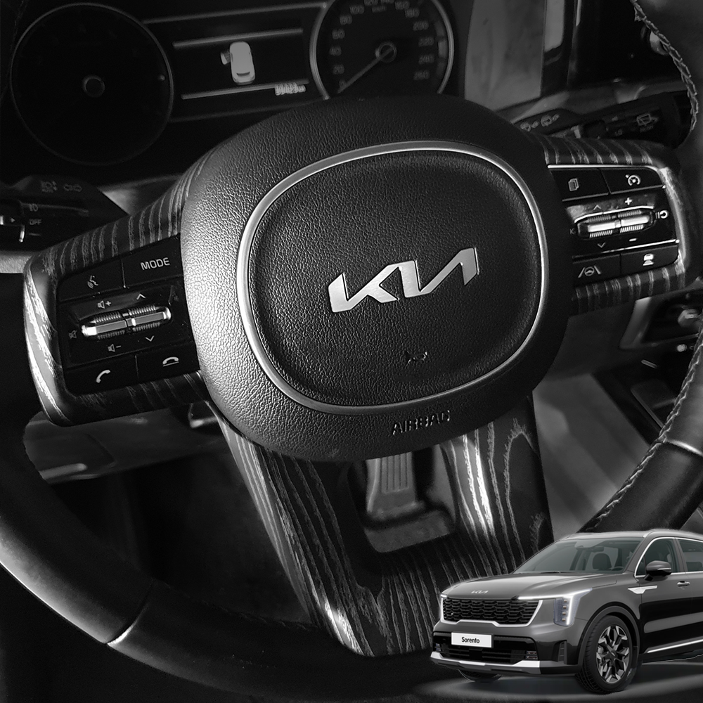 더뉴 쏘렌토 mq4 페이스리프트 카본 몰딩 실내 튜닝 용품 27,800원