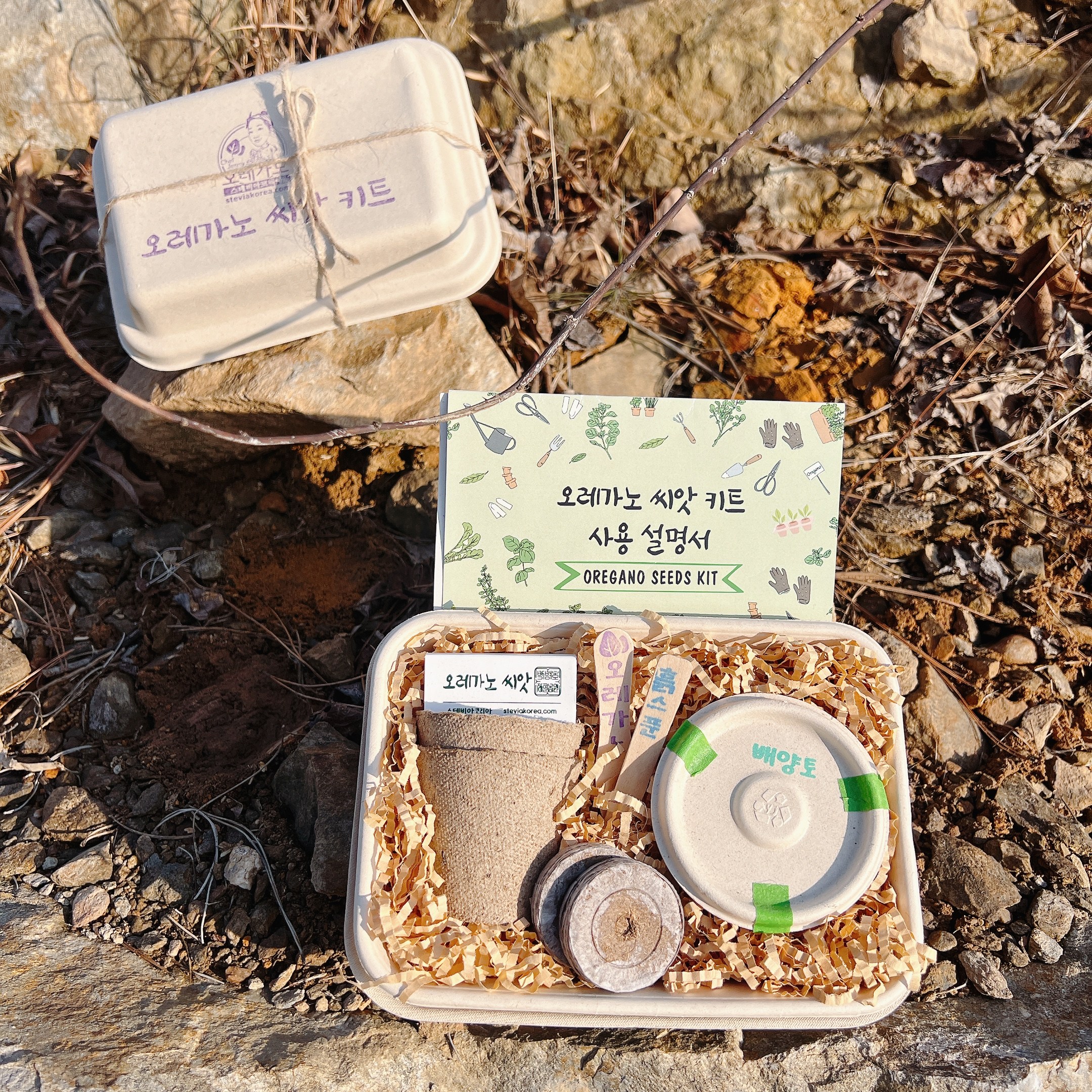 [오레가노 씨앗키트] 매혹적인 맛과 향의 허브 재배키트, 생분해 패키지로 친환경 12,000원