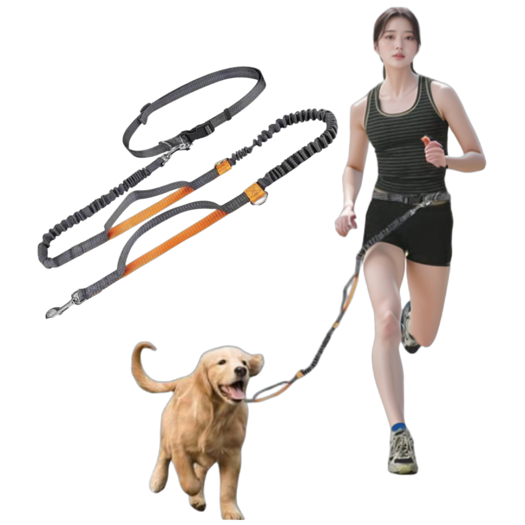 와글토이 강아지 리드줄 핸즈프리 길이조절 목줄, 1개, 레몬옐로우 18,000원