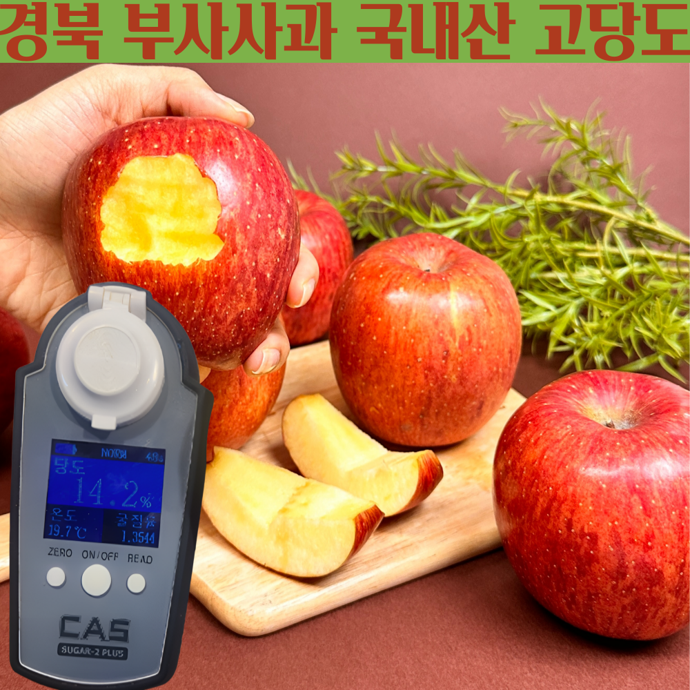 [사과농장직송] 경북 정품 부사사과 고당도 부사 사과 명절 선물, 1개, 부사 사과 5kg (중과) 72,110원