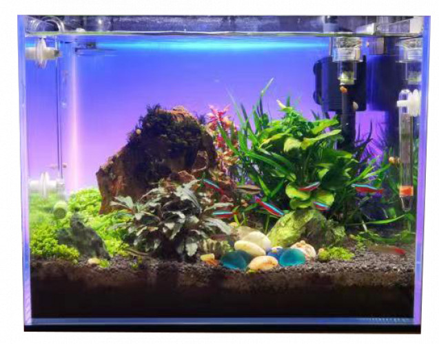 어항 LED 앱 조명 + 배경 풀 백스크린 블루투스 50x30RGB 제어 백라이트 컬러 수조 83,600원