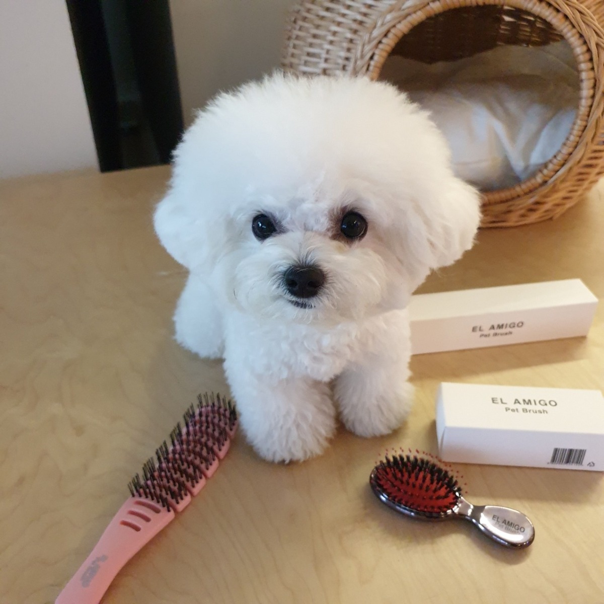 강아지 털갈이 빗 소형견 말티즈 포메 푸들 엉킨털 죽은털 제거 엘아미고 브러쉬 모음 28,000원