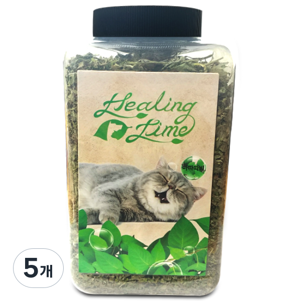 힐링타임 고양이 띵가띵가 드라이 마따따비 대 NH-123 53,750원