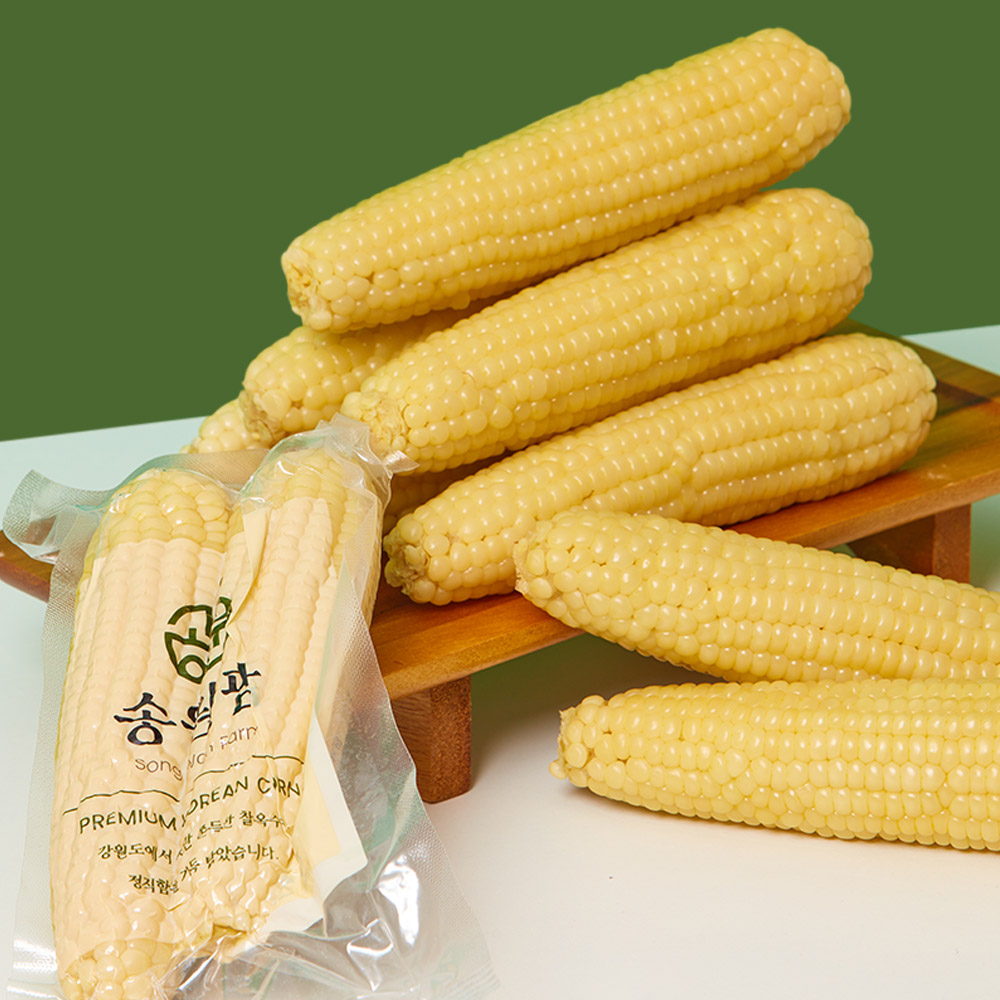 당일수확 강원 영월 찐 냉동 햇 미백흑찰옥수수 19,900원