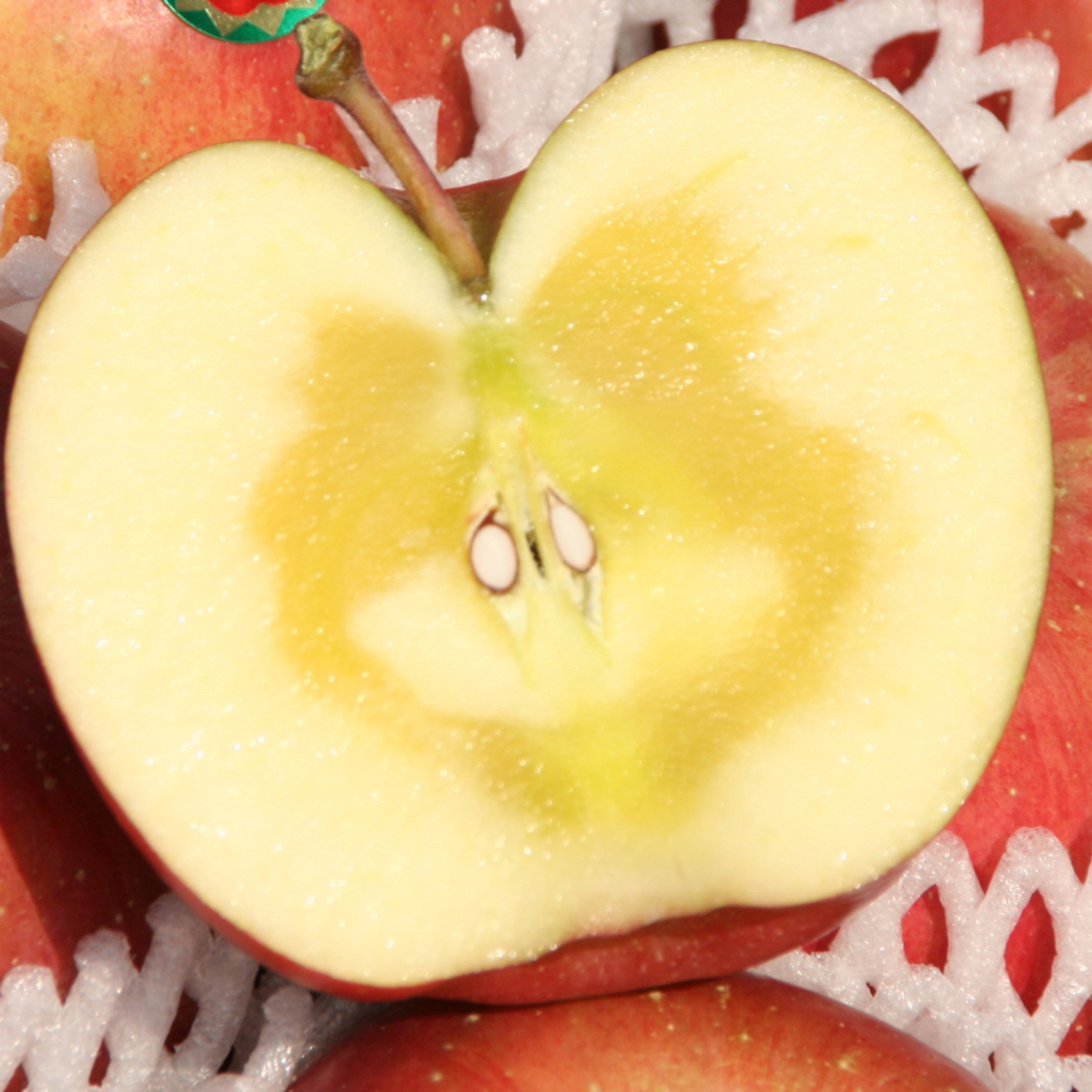 [단하루특가] 고당도 경북 부사 사과, 현재가 39,800원