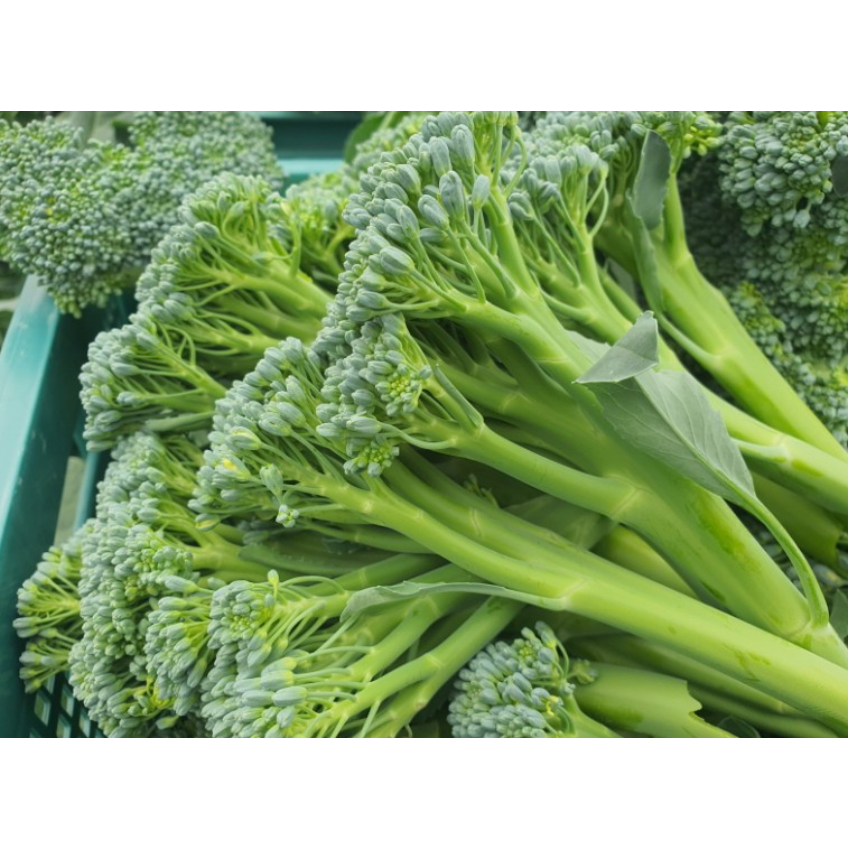 (국내산) 햇 베이비브로콜리 브로콜리니 6,500원