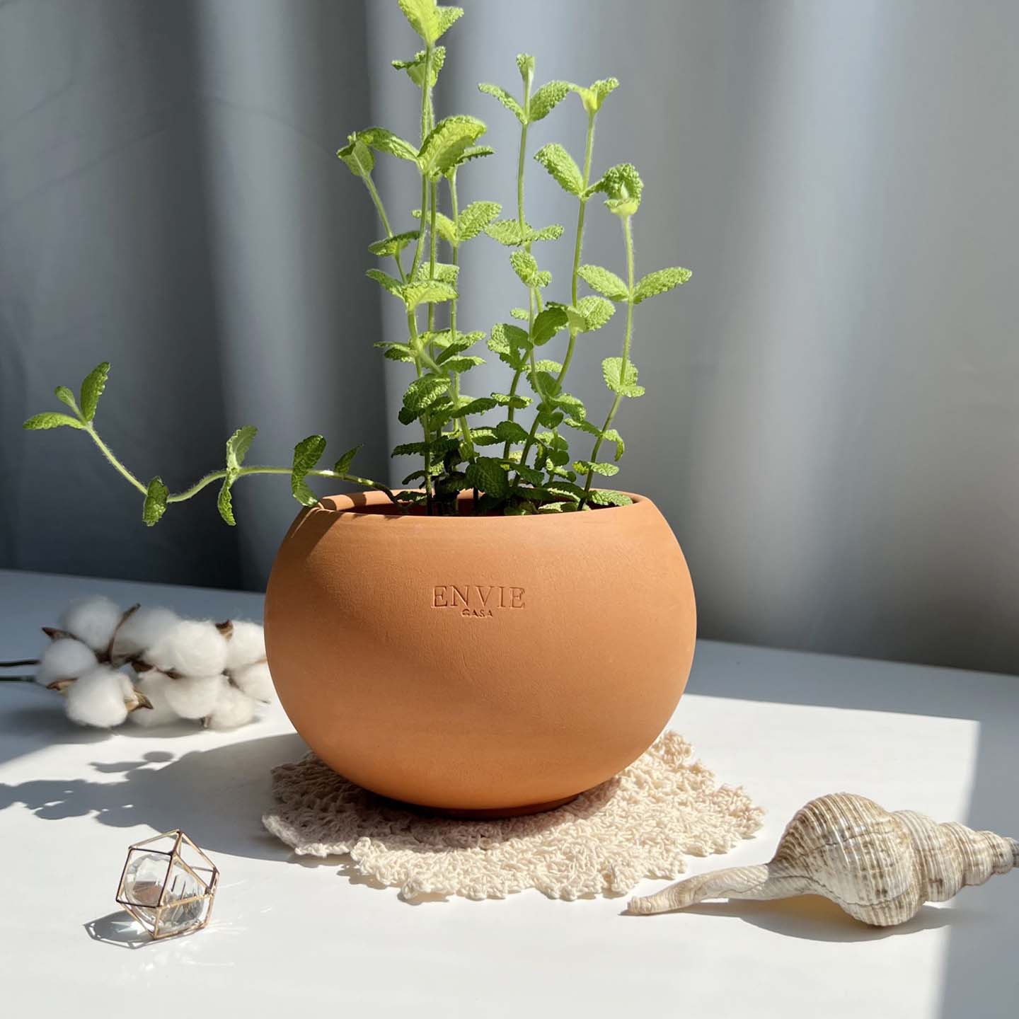 앙비까사 진주 미니토분, 레드(토분만), 1개 10,000원