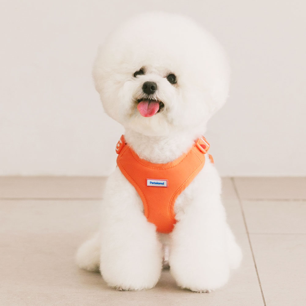 펫츠랜드 강아지 하트팝 X형 하네스 17,010원