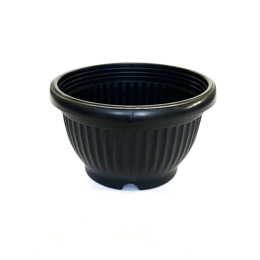 모두다 분재 플라스틱 화분 플분 골분, 1개 1,350원