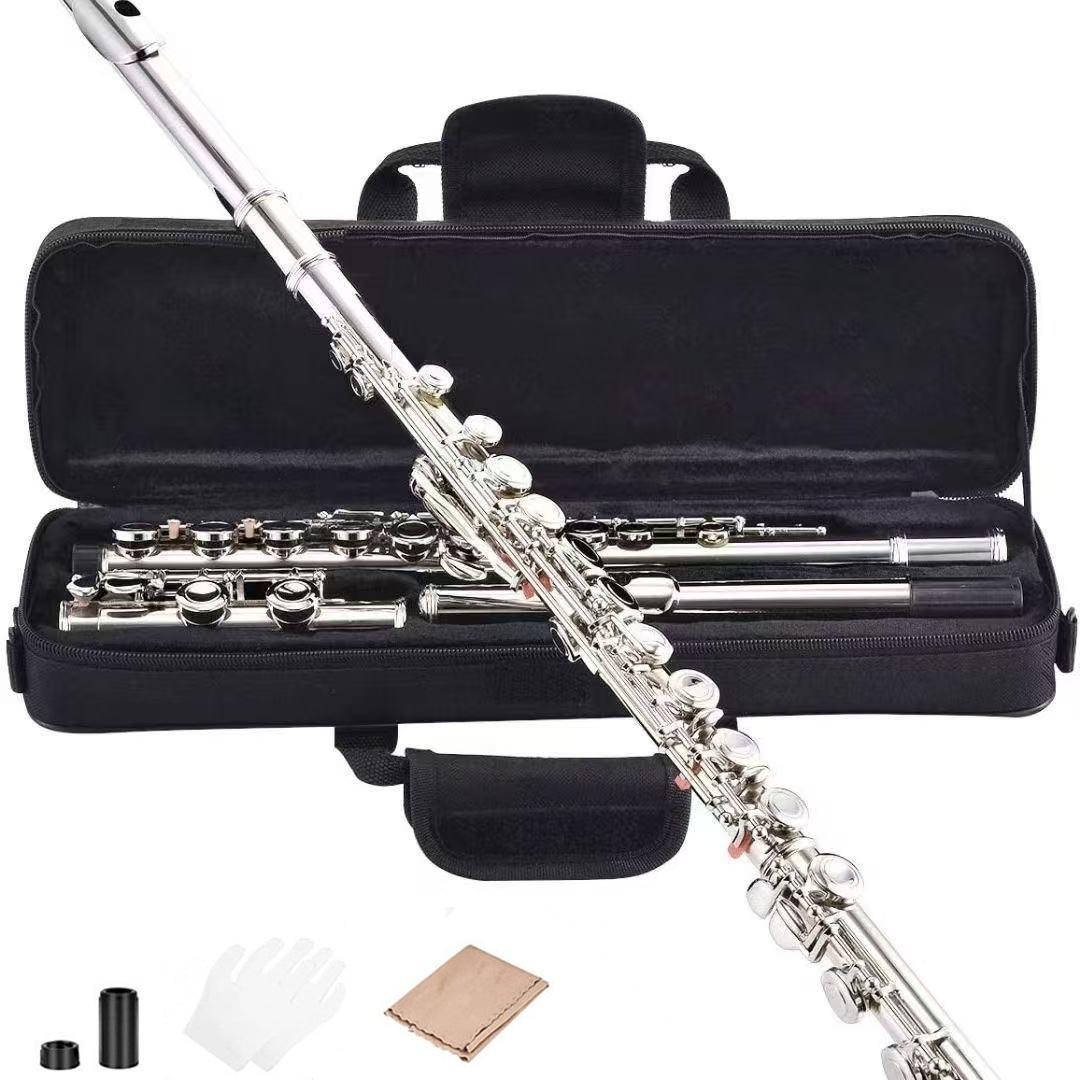 플룻입문용 플루트연습용 풀세트 관악기 악기 16키 폐공식 C조 니켈 도금 플루트 159,000원