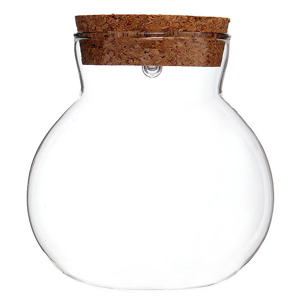 Tree 마리모 키우기 LED 코르크 유리병 6,390원