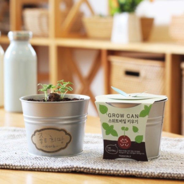 틔움세상 new 그로우캔 스위트바질 키우기 5,200원