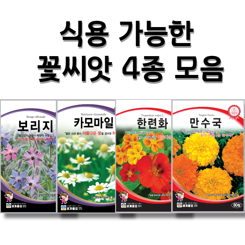 식용 가능 꽃씨앗 4종 한련화 씨앗 카모마일 씨앗 보리지 씨앗 메리골드 씨앗 꽃씨앗 꽃씨몰 꽃씨 봄 여름 가을 사계절 파종 꽃씨 12,200원