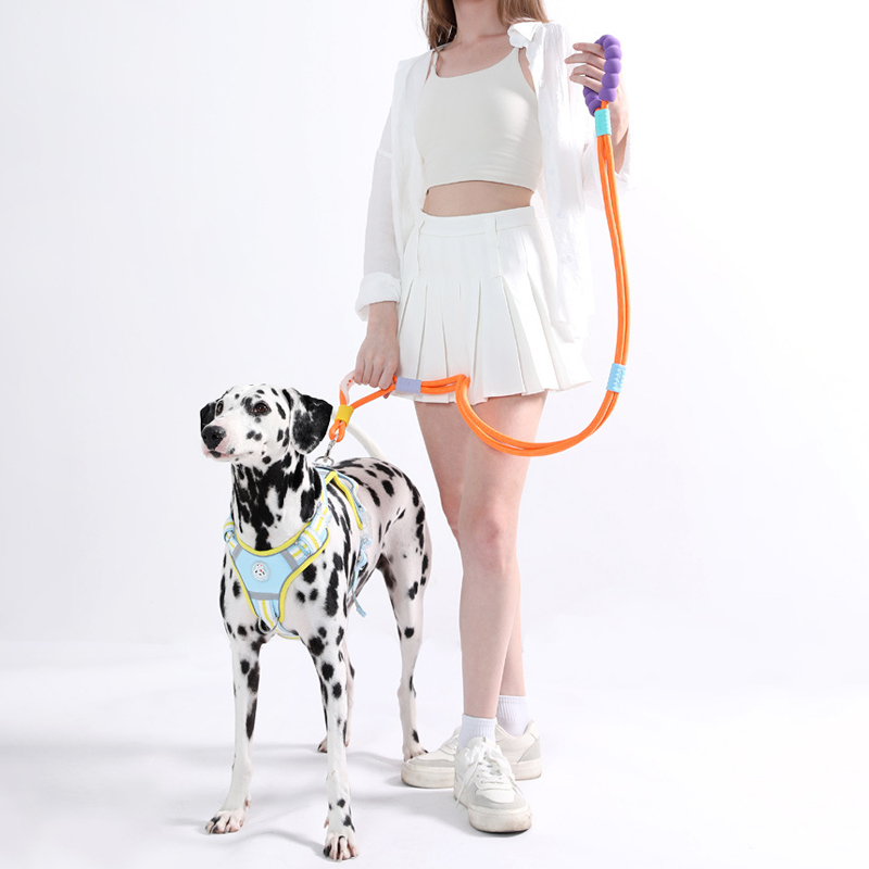 파스텔펫 반려동물 폼폼 핸즈프리 리드줄 14,670원