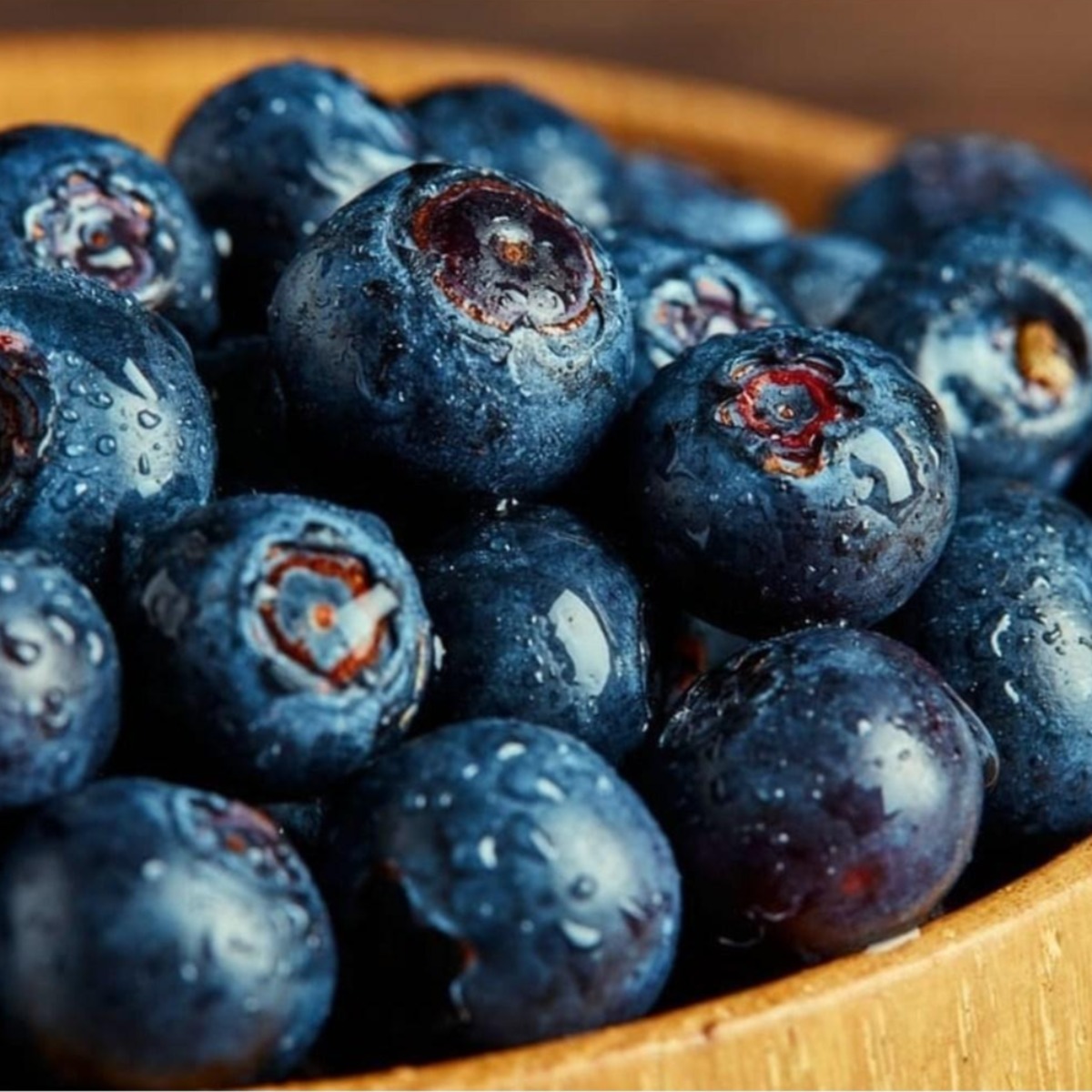 칠레산 프리미엄 생 블루베리 (14-16mm/팩당125g), 1개, 10팩 50,000원