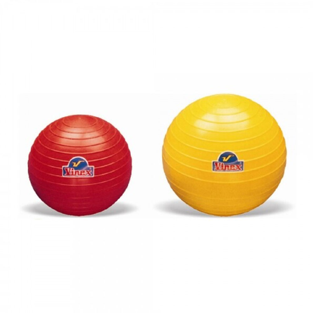 (인도) 비넥스 포환 연습용 실내외겸용 PVC(1~6.25KG) 100,000원