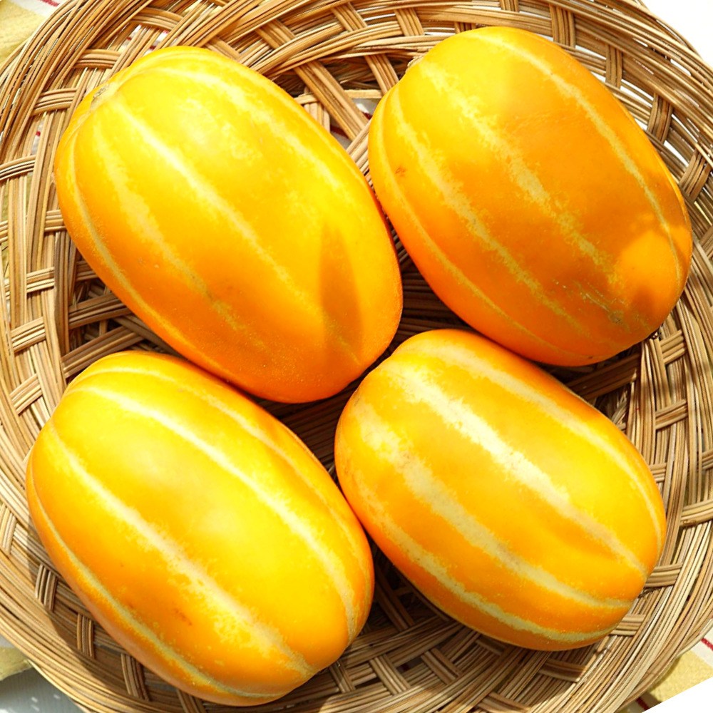 [만족도1위] 최고당도 성주 참외 26,800원