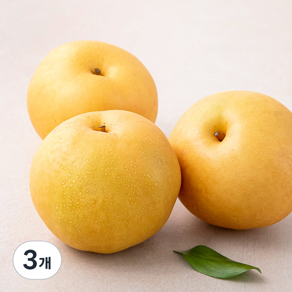 [로켓프레시] 하이프루츠 저탄소 인증 배 25,990원