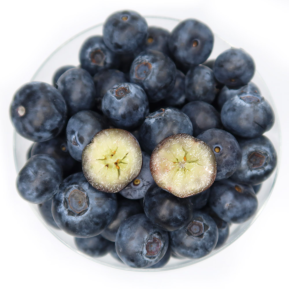 [마사팜] 최상의 당도 칠레산 생블루베리 프리미엄 슈퍼프드 한정특가 16,900원